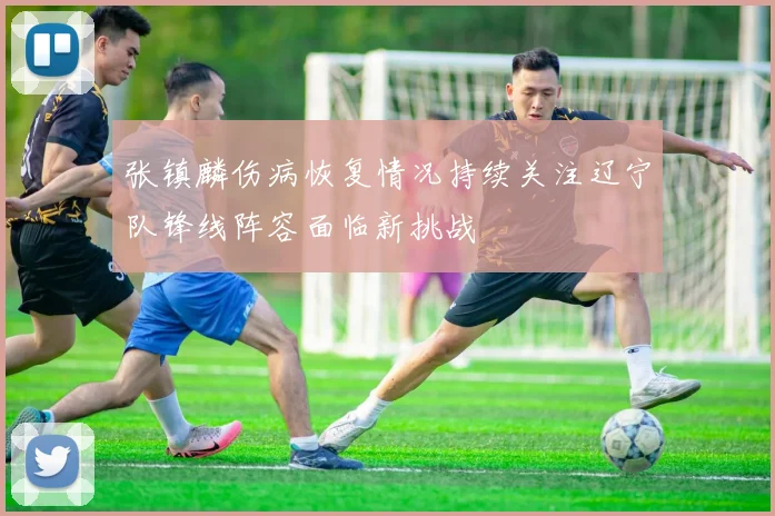 张镇麟伤病恢复情况持续关注辽宁队锋线阵容面临新挑战