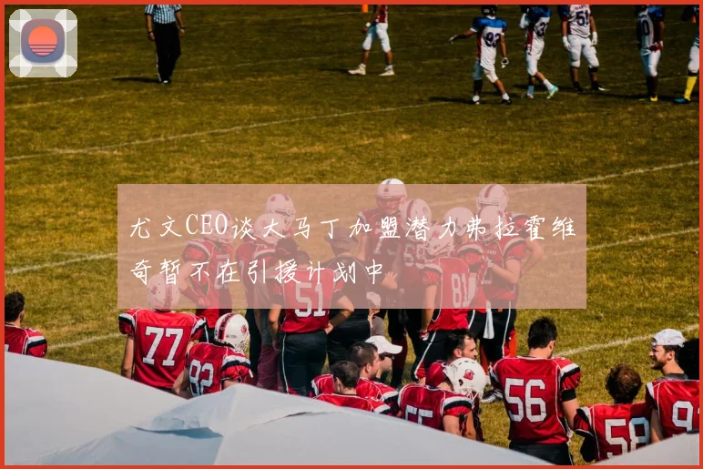 尤文CEO谈大马丁加盟潜力弗拉霍维奇暂不在引援计划中