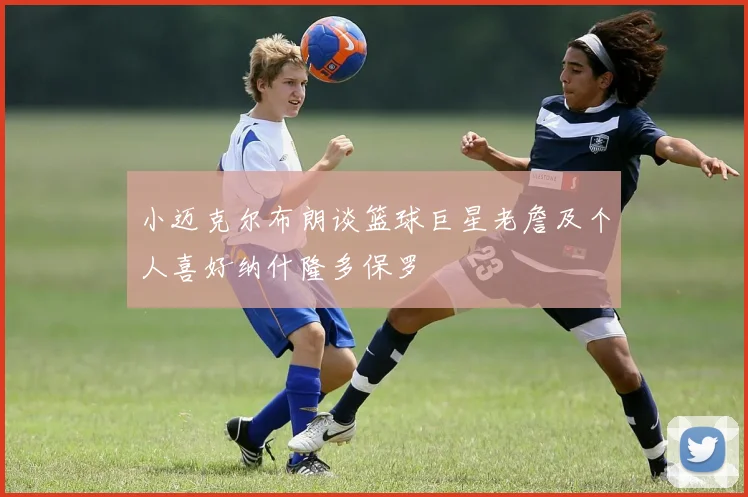 小迈克尔布朗谈篮球巨星老詹及个人喜好纳什隆多保罗